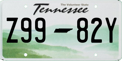 TN license plate Z9982Y