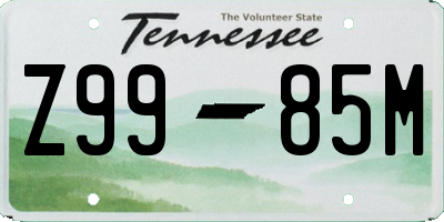 TN license plate Z9985M