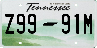 TN license plate Z9991M