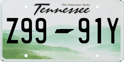 TN license plate Z9991Y