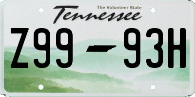 TN license plate Z9993H