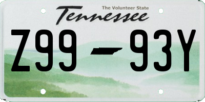 TN license plate Z9993Y