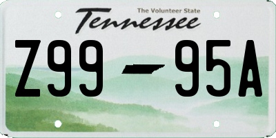 TN license plate Z9995A