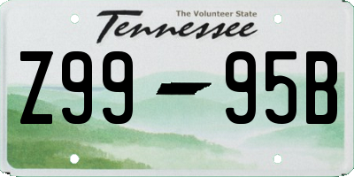 TN license plate Z9995B