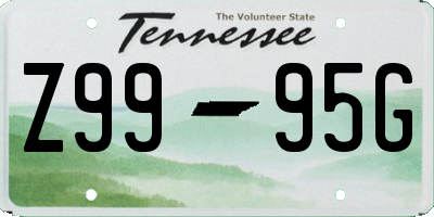 TN license plate Z9995G