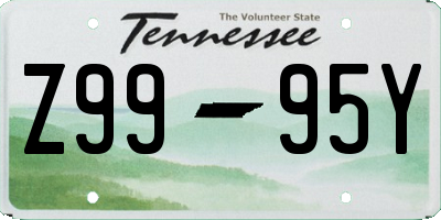 TN license plate Z9995Y