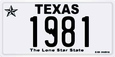 TX license plate 1981