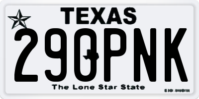 TX license plate 290PNK