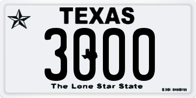 TX license plate 3000