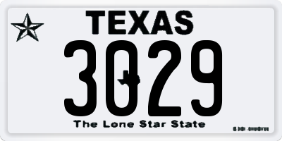 TX license plate 3029