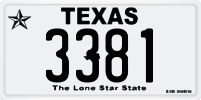 TX license plate 3381