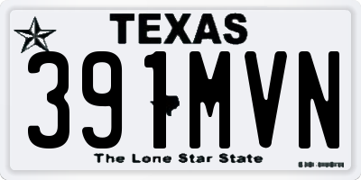 TX license plate 391MVN