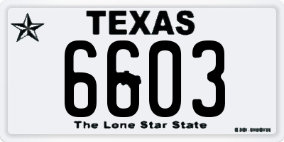 TX license plate 6603