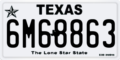 TX license plate 6M68863