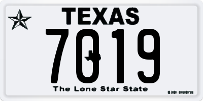 TX license plate 7019