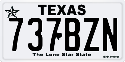 TX license plate 737BZN