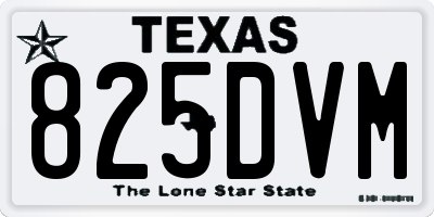 TX license plate 825DVM