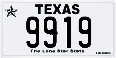 TX license plate 9919