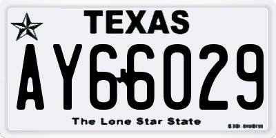 TX license plate AY66029