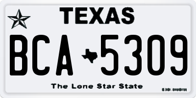 TX license plate BCA5309