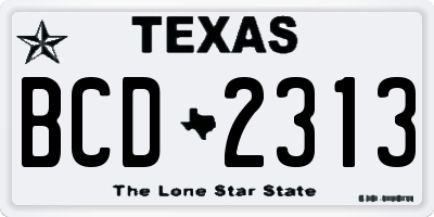 TX license plate BCD2313