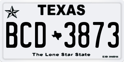 TX license plate BCD3873