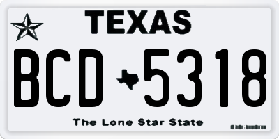 TX license plate BCD5318