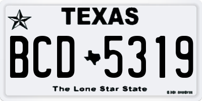 TX license plate BCD5319