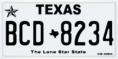 TX license plate BCD8234