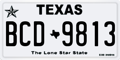 TX license plate BCD9813