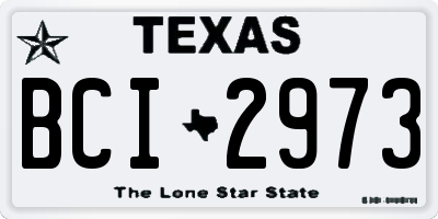 TX license plate BCI2973