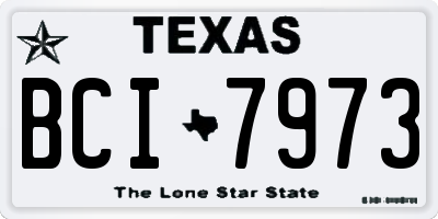 TX license plate BCI7973