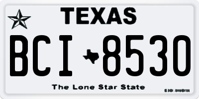 TX license plate BCI8530