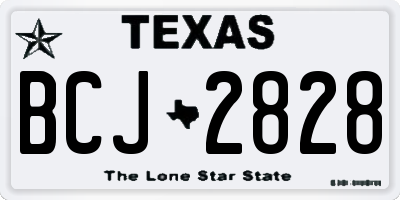 TX license plate BCJ2828