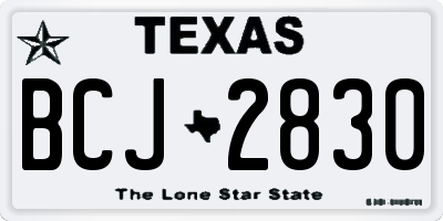 TX license plate BCJ2830