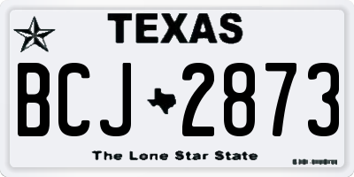 TX license plate BCJ2873