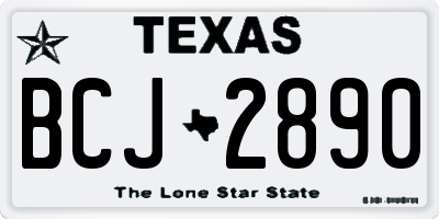 TX license plate BCJ2890