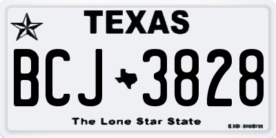 TX license plate BCJ3828