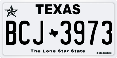 TX license plate BCJ3973