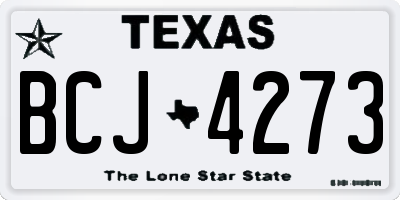 TX license plate BCJ4273