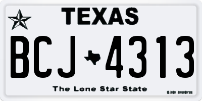 TX license plate BCJ4313