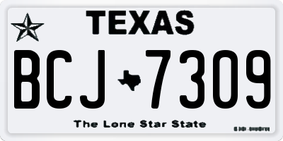 TX license plate BCJ7309