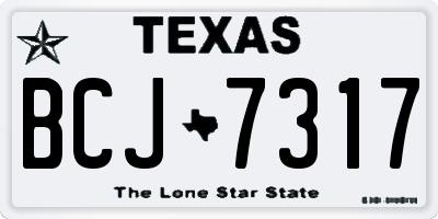 TX license plate BCJ7317