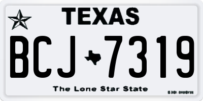 TX license plate BCJ7319