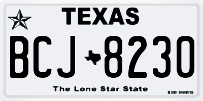 TX license plate BCJ8230