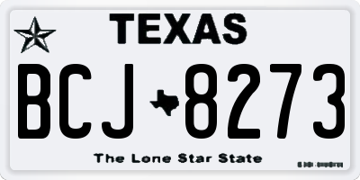TX license plate BCJ8273