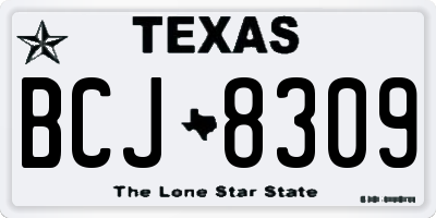 TX license plate BCJ8309