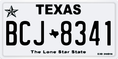 TX license plate BCJ8341