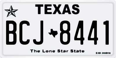 TX license plate BCJ8441