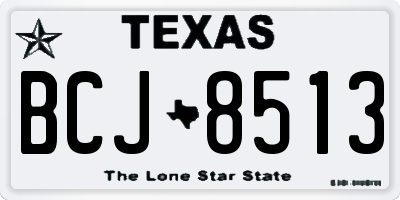 TX license plate BCJ8513